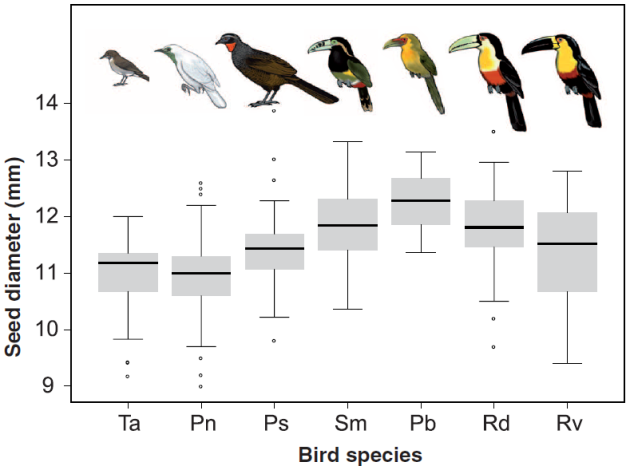 Birds only disperse what they can carry! From Galetti et al.
