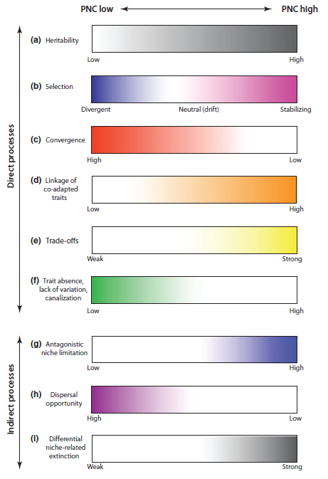 The multi-coloured world of phylogenetic niche conservatism (from Crisp and Cook)