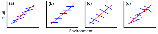 What's your favourite intraspecific (blue) and interspecific/community-level (red) trait-environment relationship? Taken from Vellend et al.